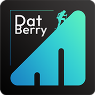 Логотип DatBerry
